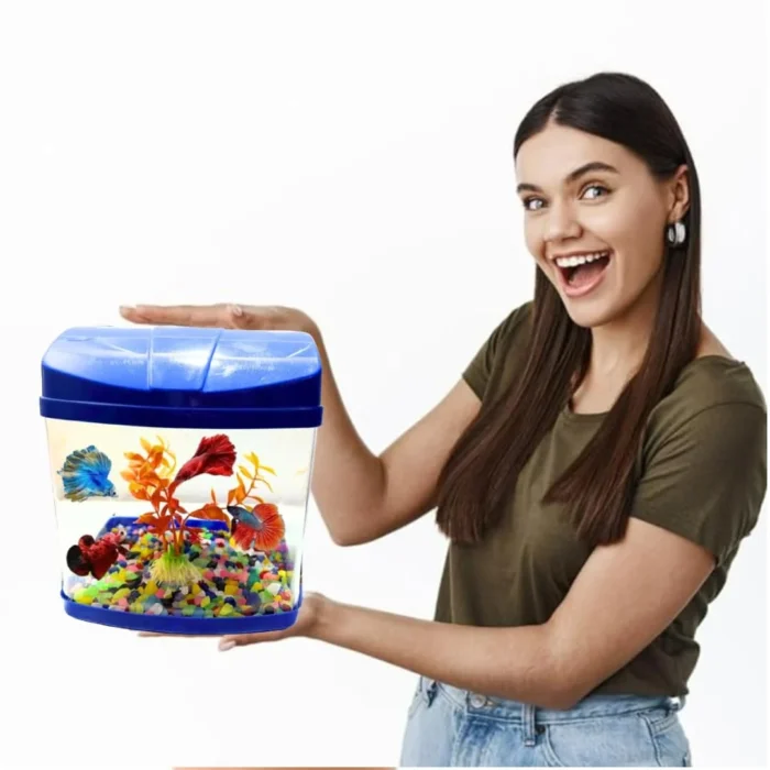 MINI AQUARIUM