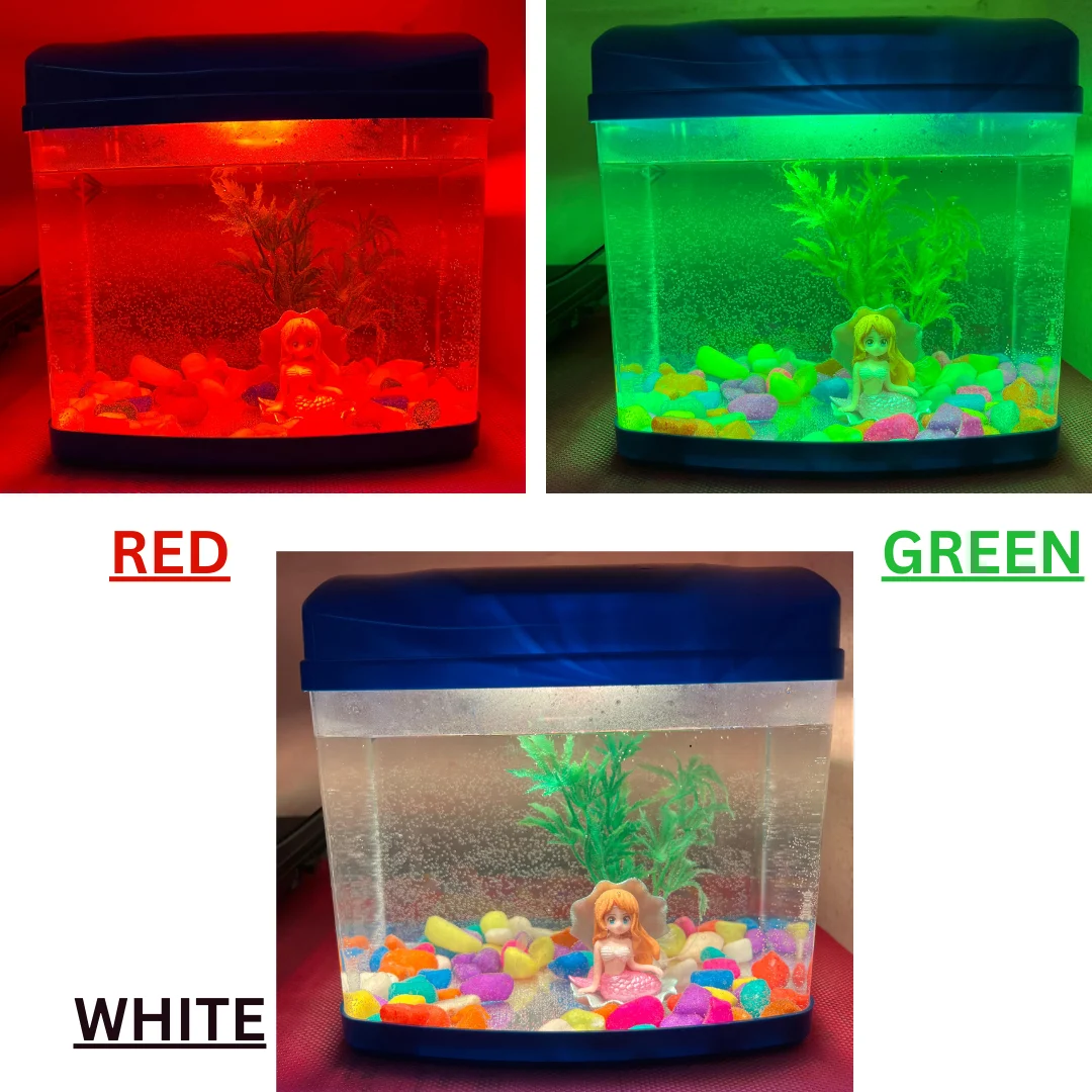 Mini Aquarium Fish Tank With Plant And Fish Food 50G