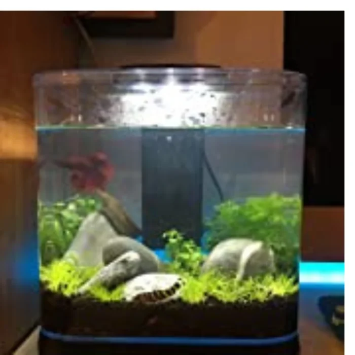 BT112 ROUND DOPHINE TANK