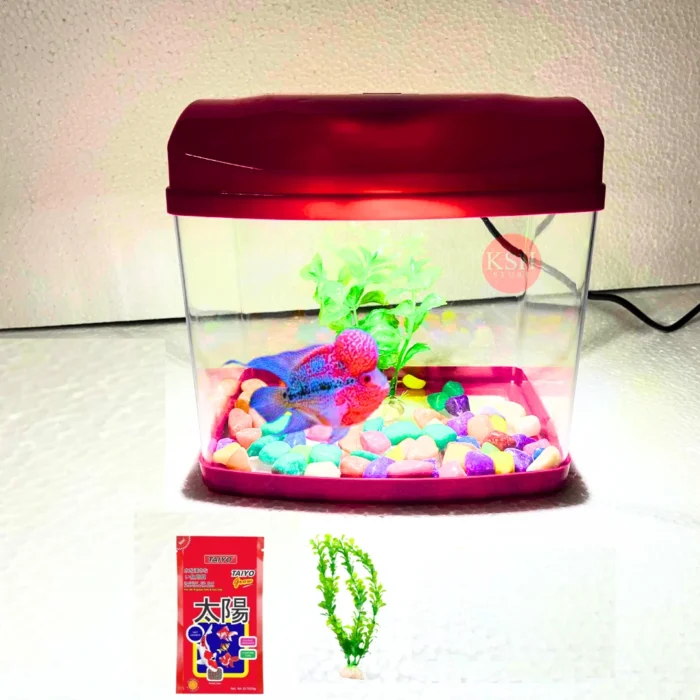 Big Mini Aquarium with white light