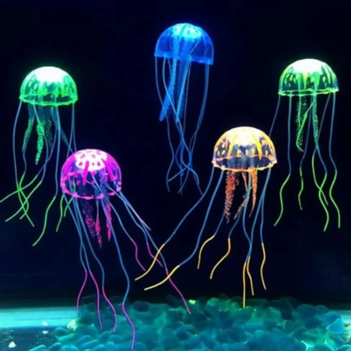 JELLY FISH