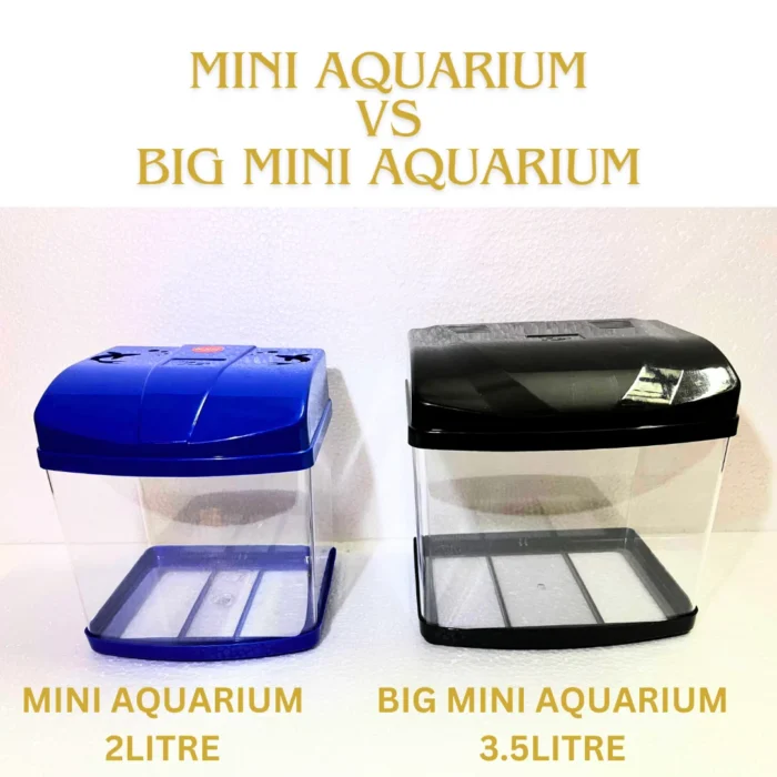 KSH Store- Big Mini Aquarium Fish Tank with Plant,Fish Food 50G,Suitable for Home Decoration, Office, Home Desktop and Kitchen Refrigerator Colour May Vary (Big Mini Aquarium)