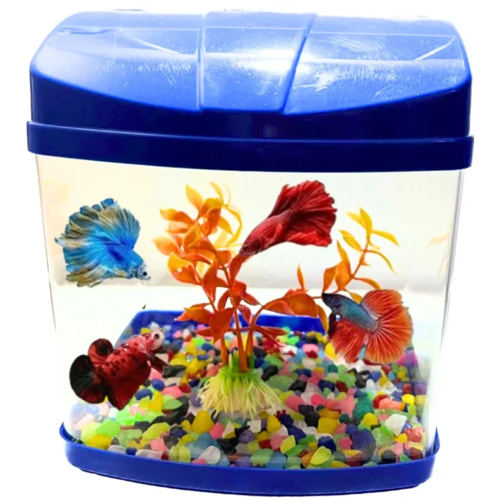 Ksh Store-Mini Aquarium Fish Tank With One Plant And Beta Food 20G, Breeding Tank For Betta Fish. Suitable For Home Decoration, Office, Home Desktop Decor And Kitchen Refrigerator Colour May Vary