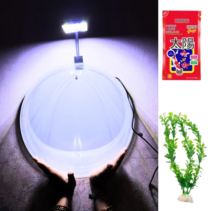 Wall Hanging Fish Bowl Acrylic (Not Glass) 15 Inches,Plant 8 INCh,Fish Food,360 Degree Pent Clip Light 6.4W,with White Colour (15)