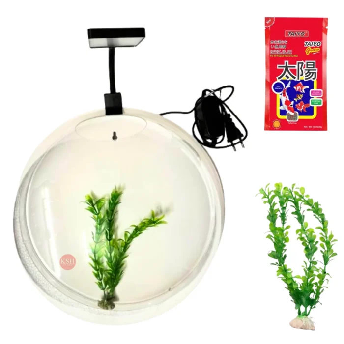 Wall Hanging Fish Bowl Acrylic (Not Glass) 15 Inches,Plant 8 INCh,Fish Food,360 Degree Pent Clip Light 6.4W,with White Colour (15)