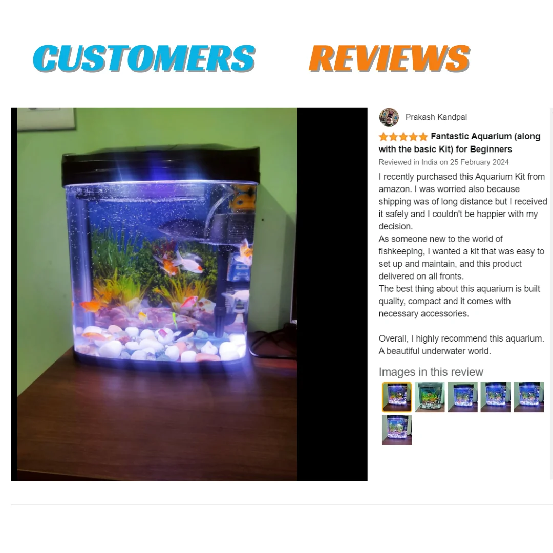 20 Litre Modern Aquarium Fish Tank Full Kit For Home Or Office ,Curved Tank With Light,Top Filter - Image 7