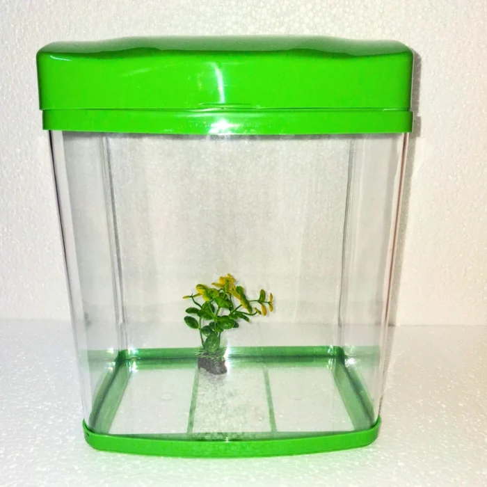 TALL BIG AQUARIUM GREEN PLAIN