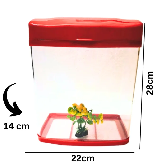 TALL BIG AQUARIUM