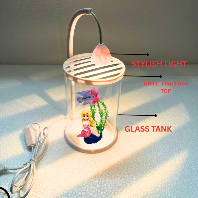 2AAA BAT (1) ROUNF GLASS TANK WITH LIGHT