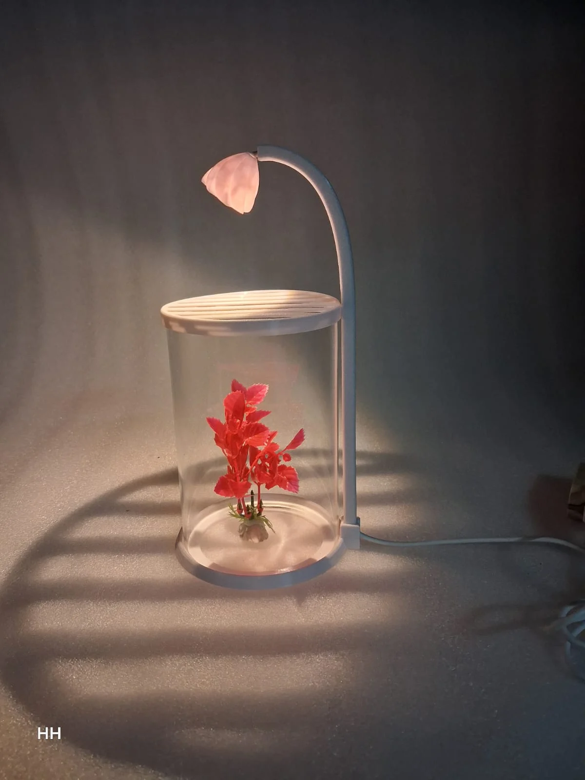 ROUNF GLASS TANK WITH LIGHT