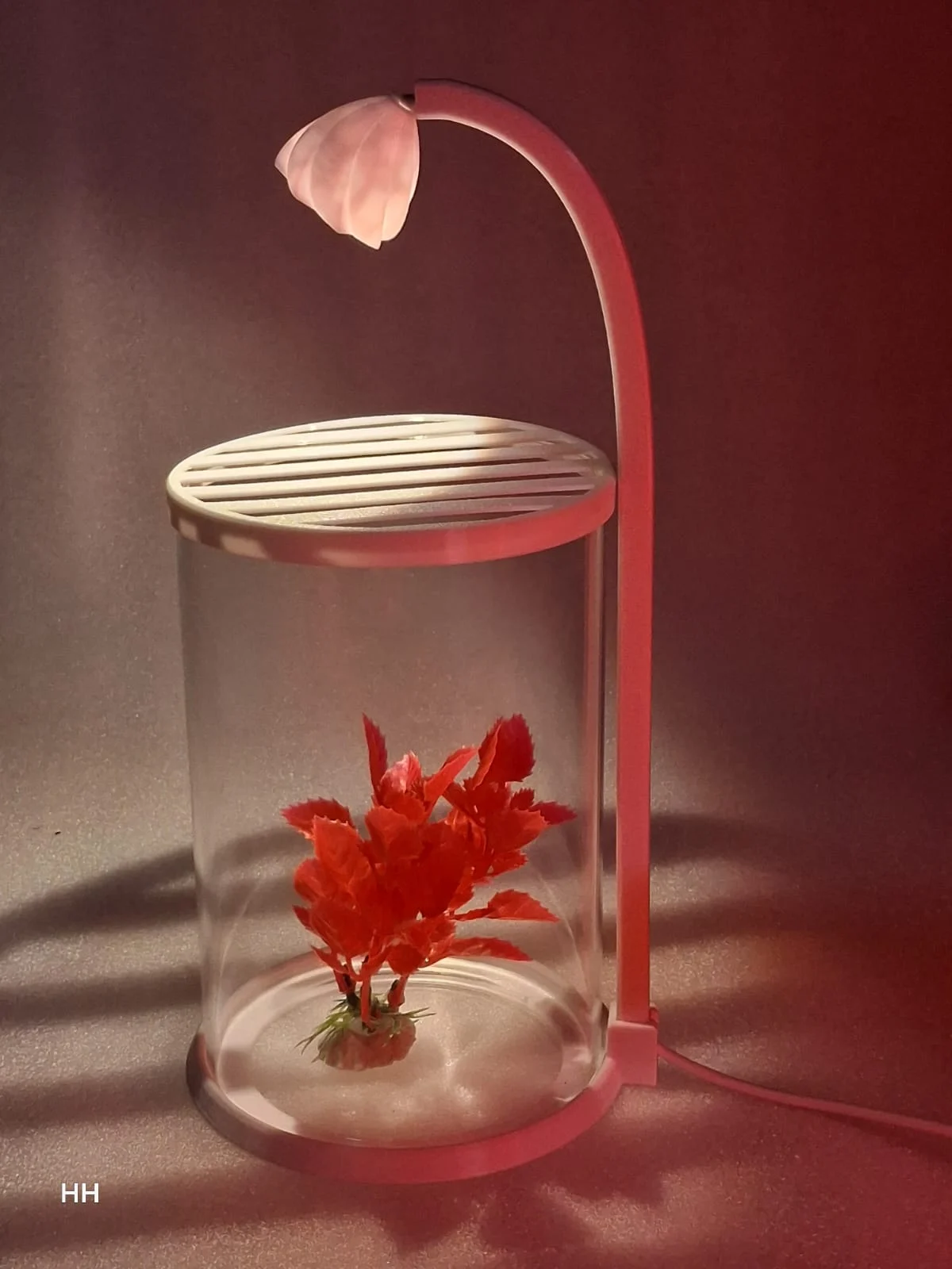 ROUNF GLASS TANK WITH LIGHT