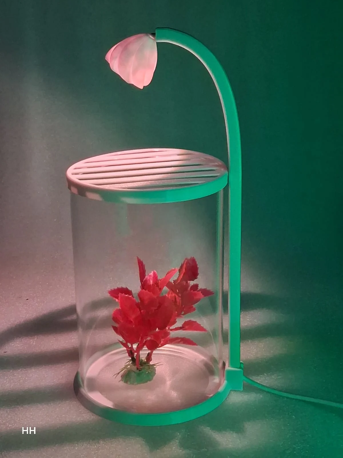 ROUNF GLASS TANK WITH LIGHT