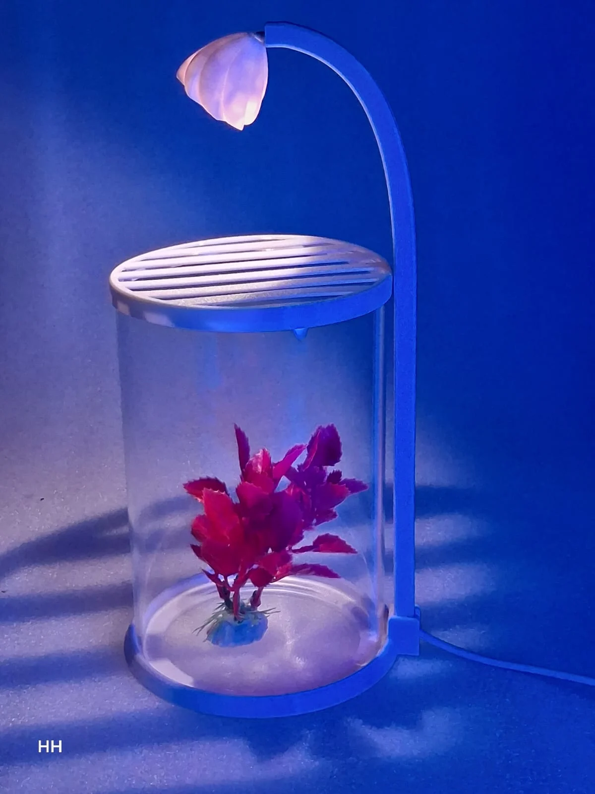 ROUNF GLASS TANK WITH LIGHT