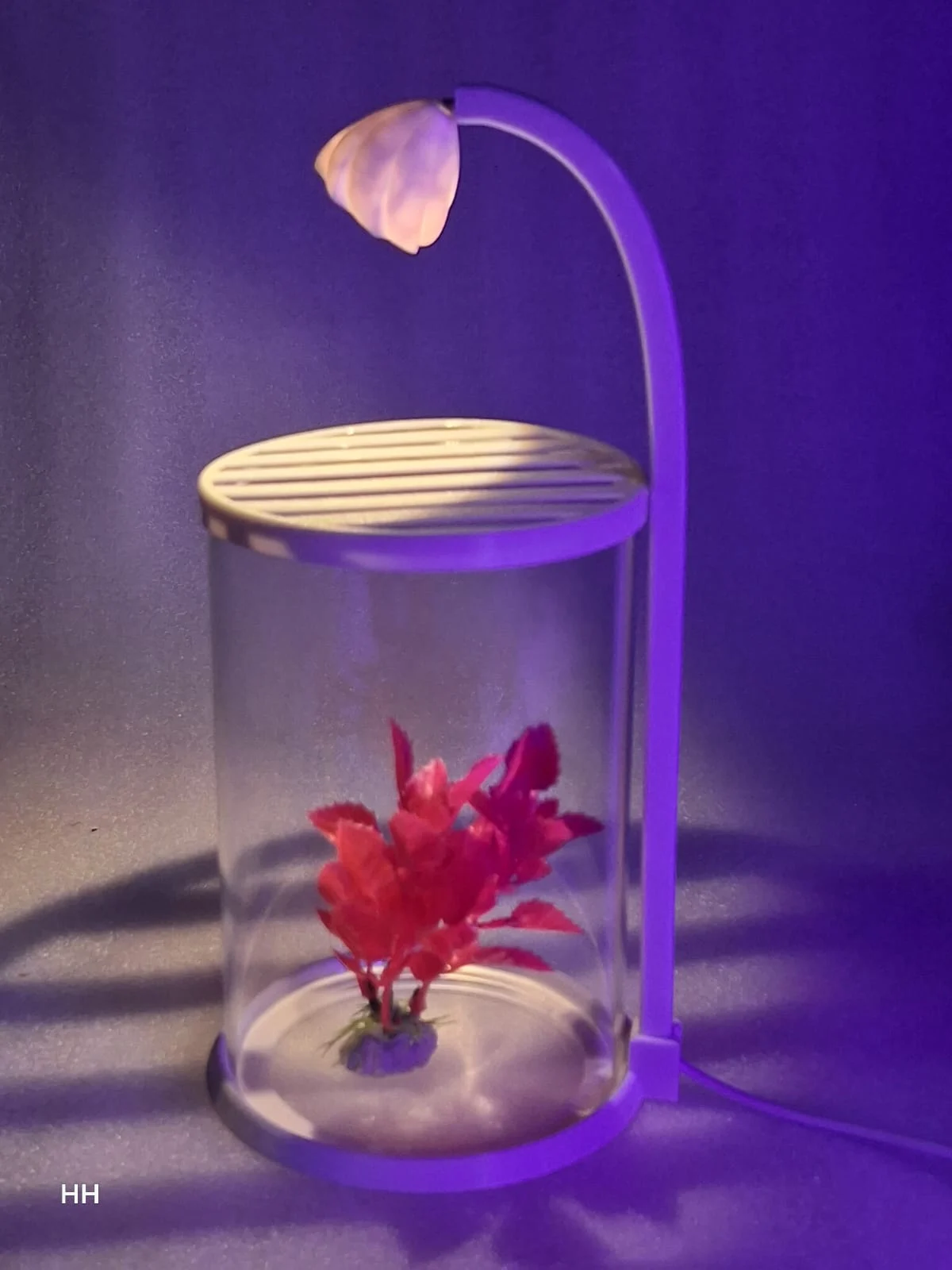 ROUNF GLASS TANK WITH LIGHT