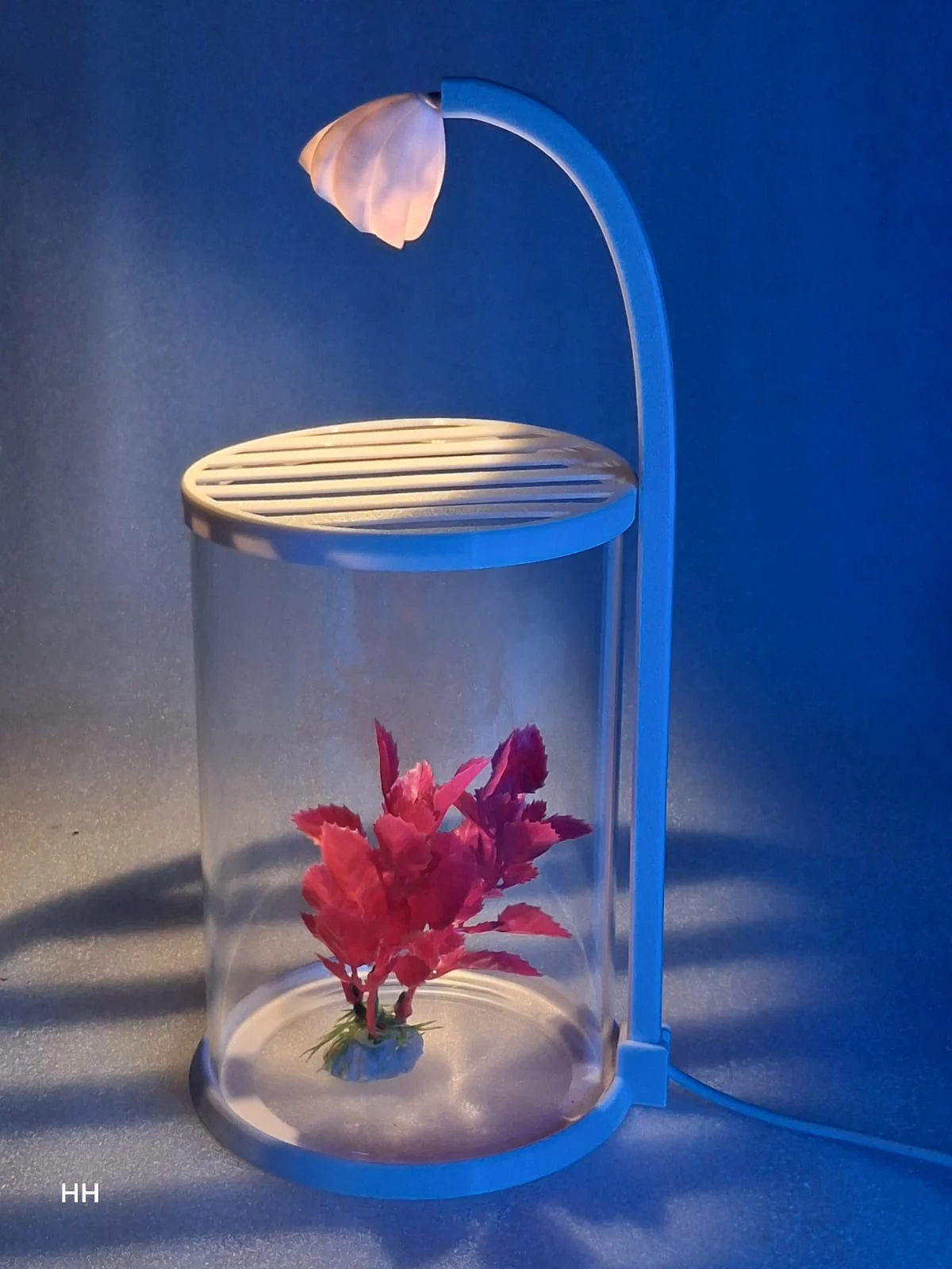 ROUNF GLASS TANK WITH LIGHT