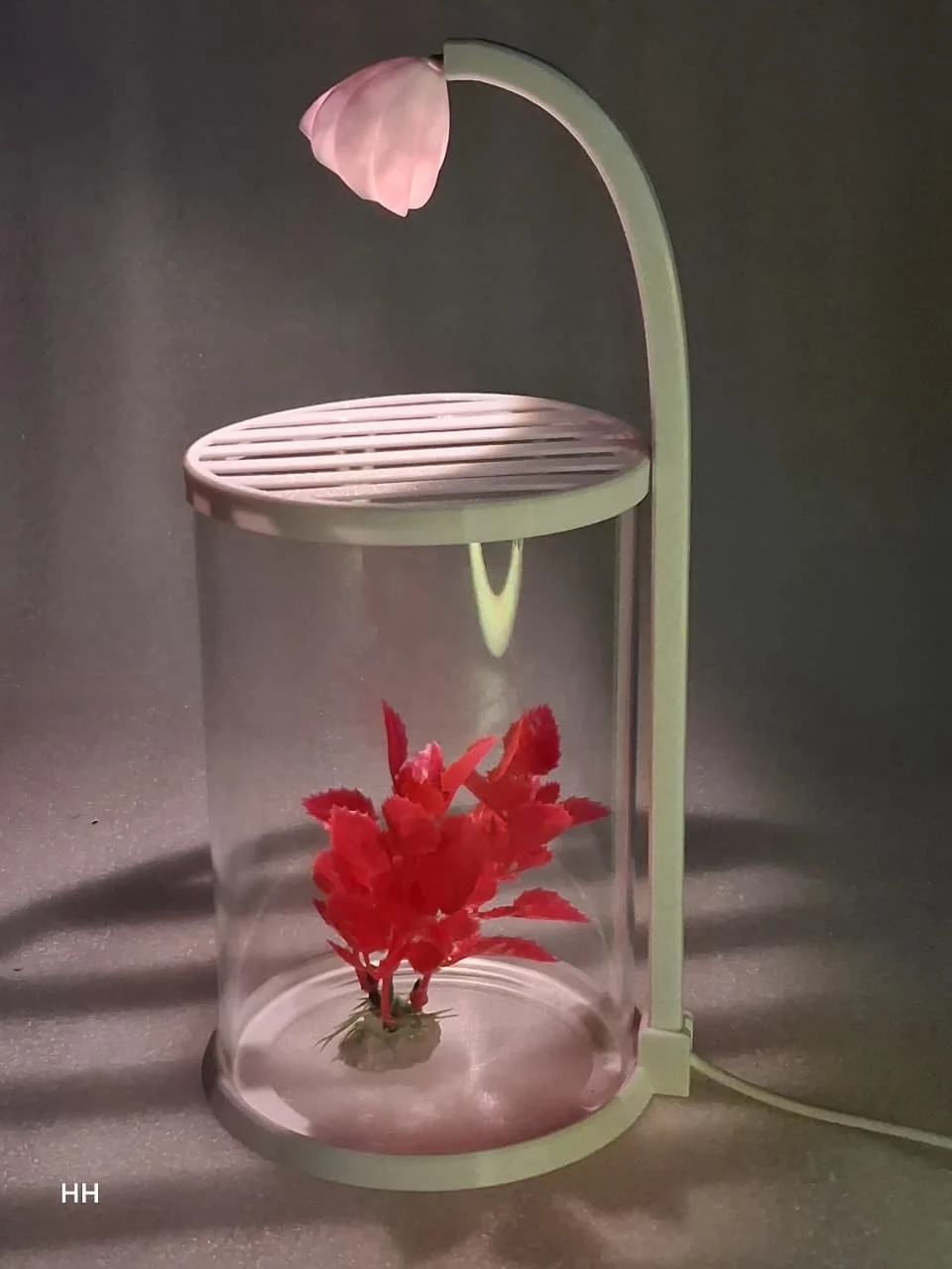 ROUNF GLASS TANK WITH LIGHT