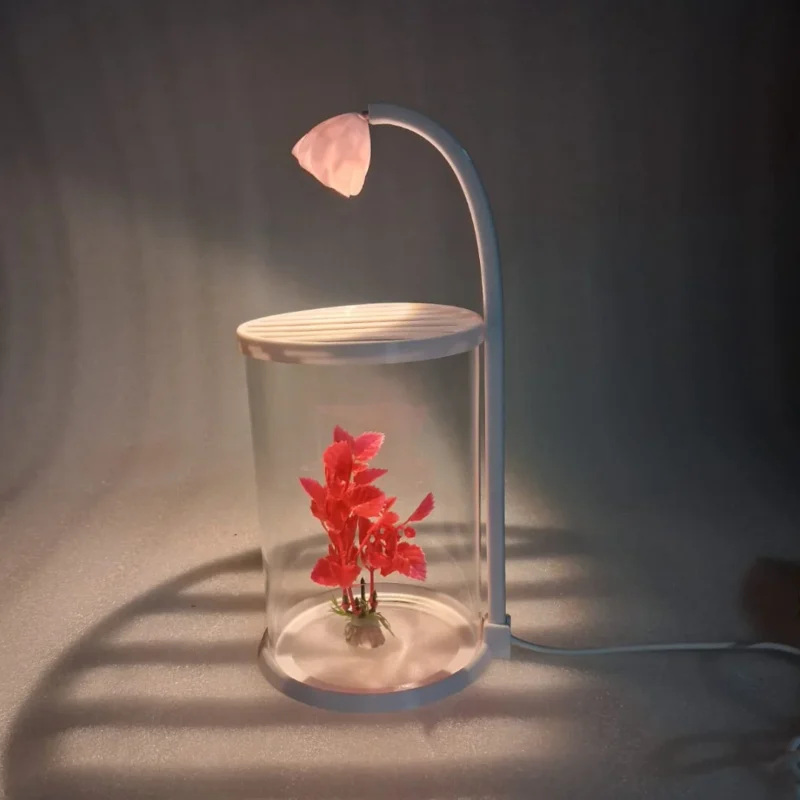 ROUNF GLASS TANK WITH LIGHT