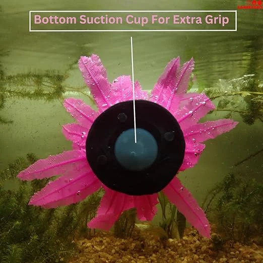 PINK SILICON PLANT 08