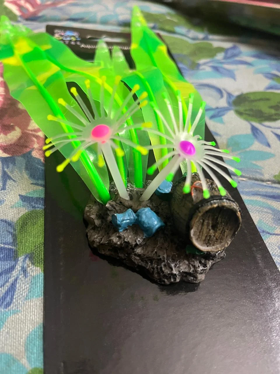 LONG SILICON PLANT 02