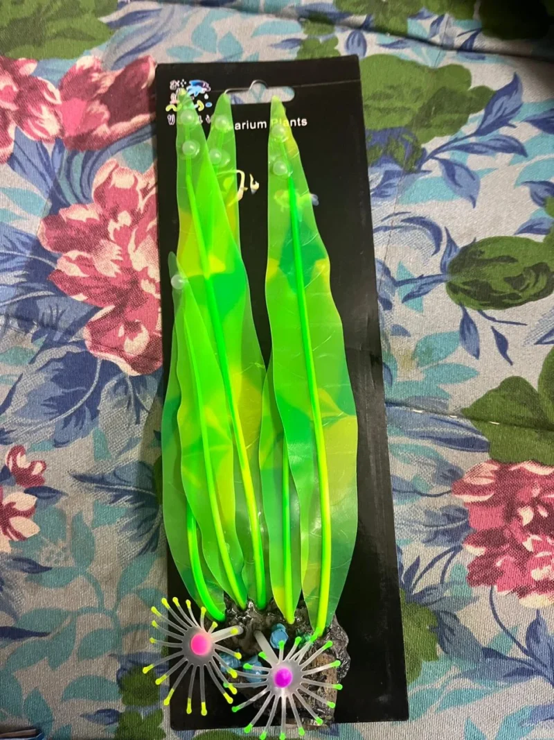 LONG SILICON PLANT 01