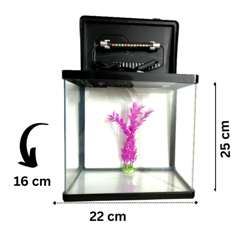 BL-240 FISH TANK IMPORT