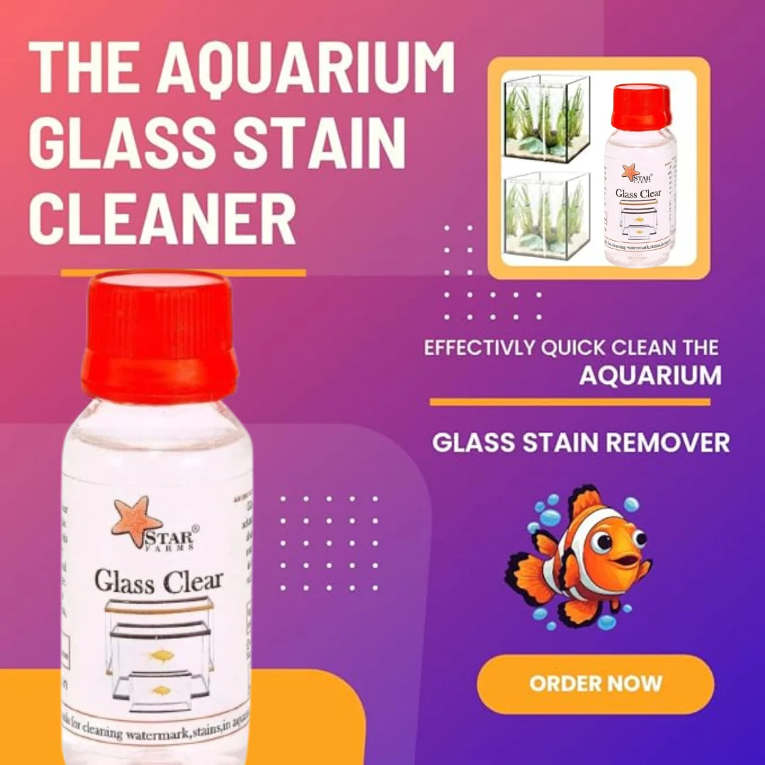 Aquarium Glass CleanerKSH