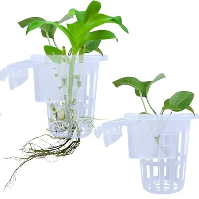 Aquarium Plant Holder Cups