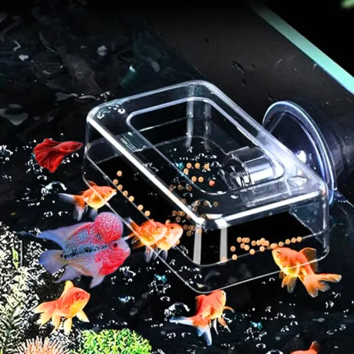 Rectangular Acrylic Fish Feeding Box With Suction Cup - kshstore