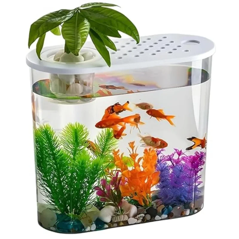 Hydroponic Aquarium