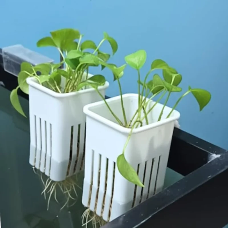 PLANT HOLDER CLIP MODEL