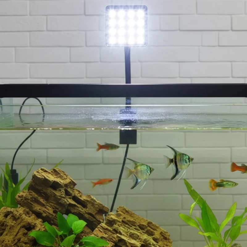 Square Shaped Clip On Aquarium LED Light,0 Square Shaped Clip On Aquarium LED Light