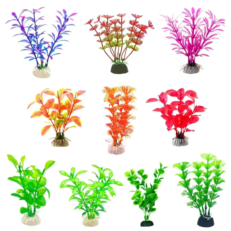 PLANT 4 INCH