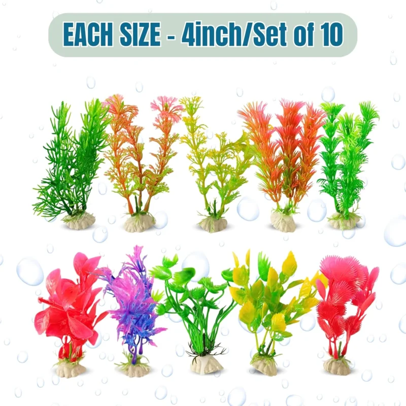 PLANT 4 INCH2
